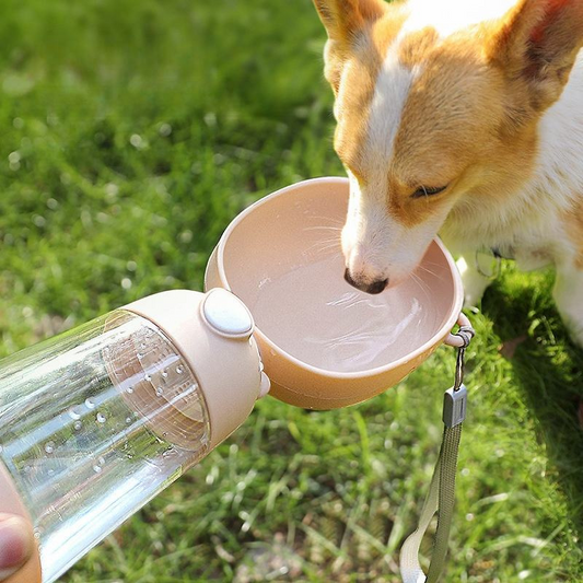 Water & Food, Always Ready
