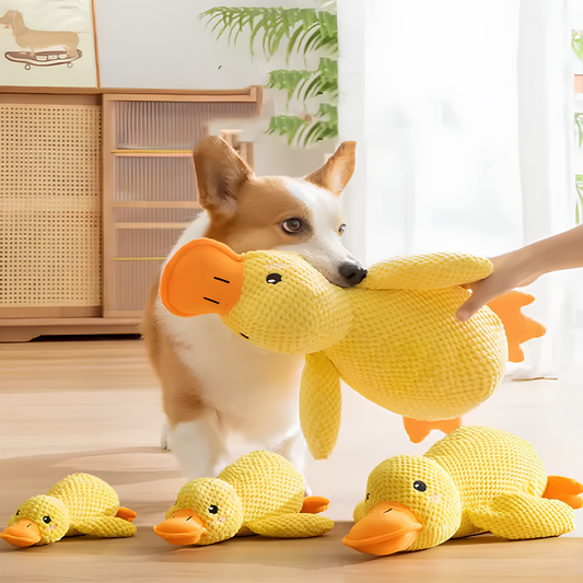 Quack Up Your Pup’s Playtime!