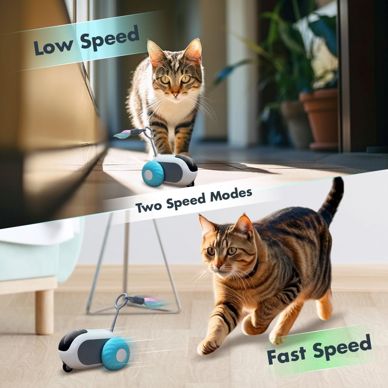 Diva Claws™ Remote Toy – Smart Cat Car Toy