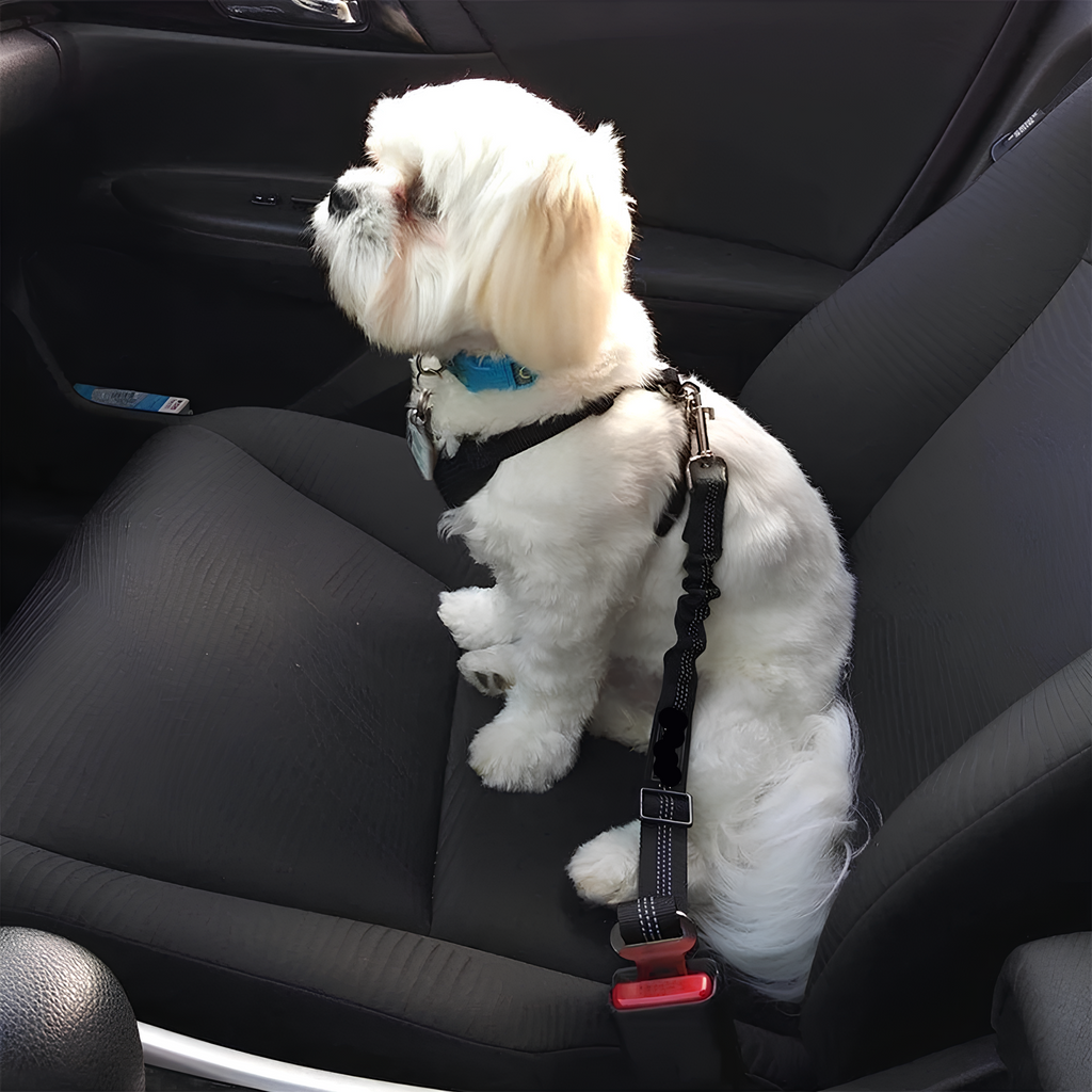 Diva Claws™ Travel Seat – Car Safety Belt