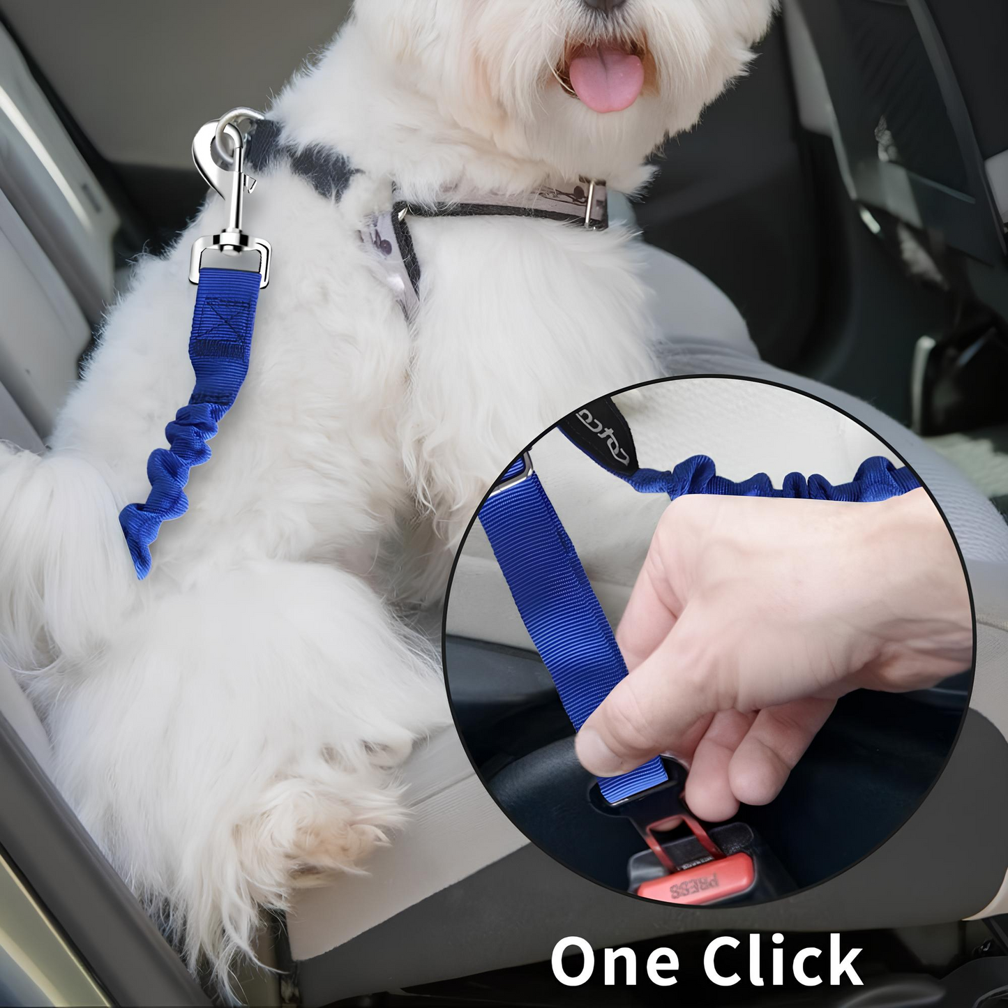 Diva Claws™ Travel Seat – Car Safety Belt