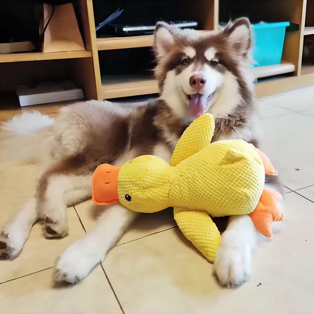 Diva Claws™ Duck Play – Dog Bite Toy