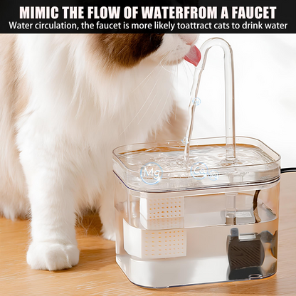 Diva Claws™ Electric Filter – Pet Water Fountain
